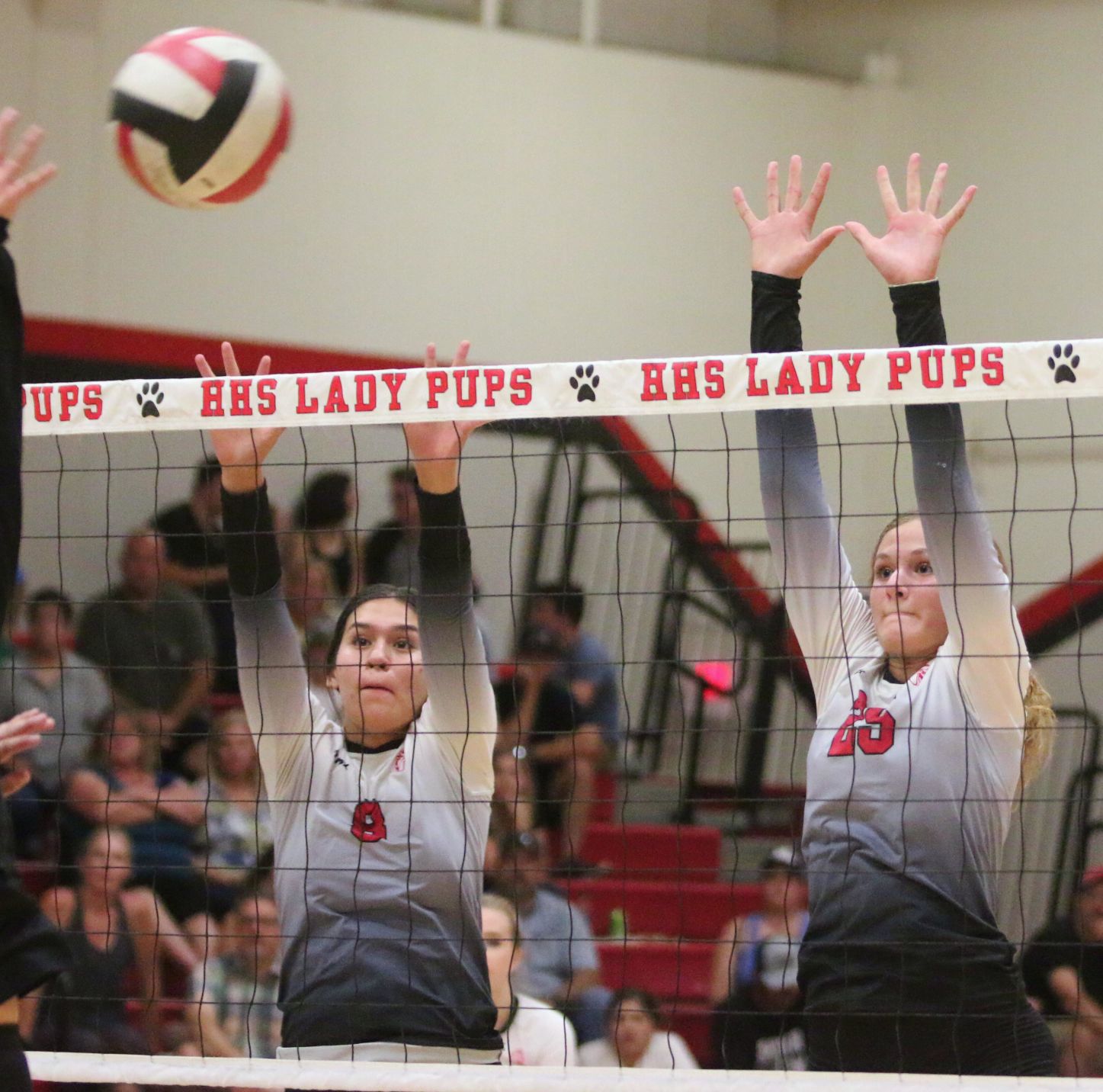 Golden Bears open season with victory over Bullpups